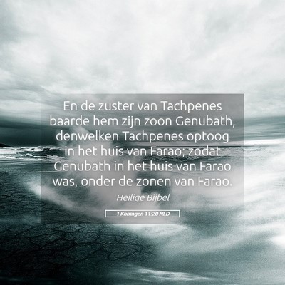 Picture 05 - 1 Koningen 11:20 NLD - En de zuster van Tachpenes baarde hem zijn zoon - Bible Verse Picture