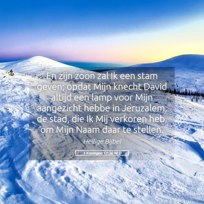 Picture 05 - 1 Koningen 11:36 NLD - En zijn zoon zal Ik een stam geven; opdat Mijn - Bible Verse Picture