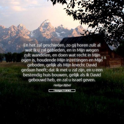 Picture 05 - 1 Koningen 11:38 NLD - En het zal geschieden, zo gij horen zult al wat - Bible Verse Picture