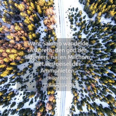 Picture 05 - 1 Koningen 11:5 NLD - Want Salomo wandelde Astoreth, den god der - Bible Verse Picture