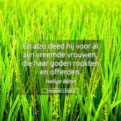 Picture 05 - 1 Koningen 11:8 NLD - En alzo deed hij voor al zijn vreemde vrouwen, - Bible Verse Picture