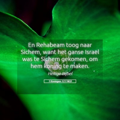 Picture 05 - 1 Koningen 12:1 NLD - En Rehabeam toog naar Sichem, want het ganse - Bible Verse Picture