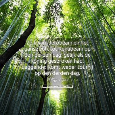 Picture 05 - 1 Koningen 12:12 NLD - Zo kwam Jerobeam en het ganse volk tot Rehabeam - Bible Verse Picture