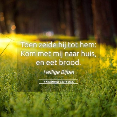 Picture 05 - 1 Koningen 13:15 NLD - Toen zeide hij tot hem: Kom met mij naar huis, en - Bible Verse Picture
