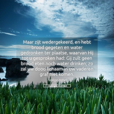 Picture 05 - 1 Koningen 13:22 NLD - Maar zijt wedergekeerd, en hebt brood gegeten en - Bible Verse Picture