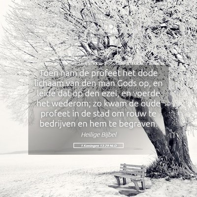 Picture 05 - 1 Koningen 13:29 NLD - Toen nam de profeet het dode lichaam van den man - Bible Verse Picture