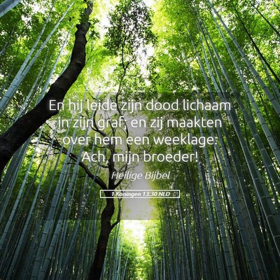 Picture 05 - 1 Koningen 13:30 NLD - En hij leide zijn dood lichaam in zijn graf; en - Bible Verse Picture