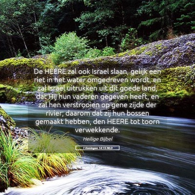 Picture 05 - 1 Koningen 14:15 NLD - De HEERE zal ook Israel slaan, gelijk een riet in - Bible Verse Picture