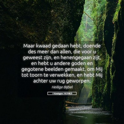 Picture 05 - 1 Koningen 14:9 NLD - Maar kwaad gedaan hebt, doende des meer dan - Bible Verse Picture