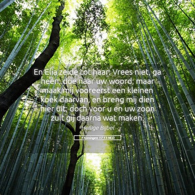 Picture 05 - 1 Koningen 17:13 NLD - En Elia zeide tot haar: Vrees niet, ga heen, doe - Bible Verse Picture