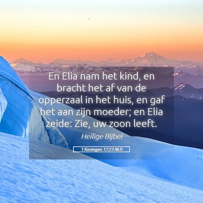 Picture 05 - 1 Koningen 17:23 NLD - En Elia nam het kind, en bracht het af van de - Bible Verse Picture