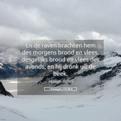 Picture 05 - 1 Koningen 17:6 NLD - En de raven brachten hem des morgens brood en - Bible Verse Picture