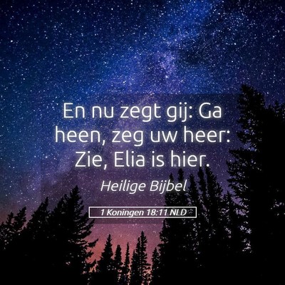 Picture 05 - 1 Koningen 18:11 NLD - En nu zegt gij: Ga heen, zeg uw heer: Zie, Elia - Bible Verse Picture