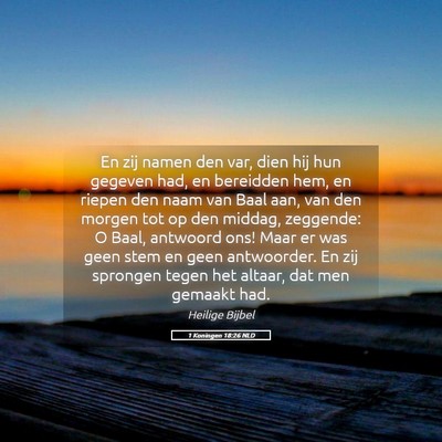 Picture 05 - 1 Koningen 18:26 NLD - En zij namen den var, dien hij hun gegeven had, - Bible Verse Picture