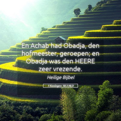 Picture 05 - 1 Koningen 18:3 NLD - En Achab had Obadja, den hofmeester, geroepen; en - Bible Verse Picture