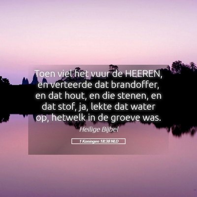 Picture 05 - 1 Koningen 18:38 NLD - Toen viel het vuur de HEEREN, en verteerde dat - Bible Verse Picture