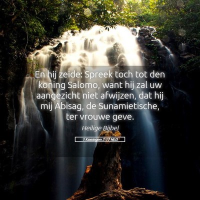 Picture 05 - 1 Koningen 2:17 NLD - En hij zeide: Spreek toch tot den koning Salomo, - Bible Verse Picture