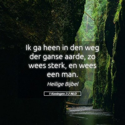 Picture 05 - 1 Koningen 2:2 NLD - Ik ga heen in den weg der ganse aarde, zo wees - Bible Verse Picture