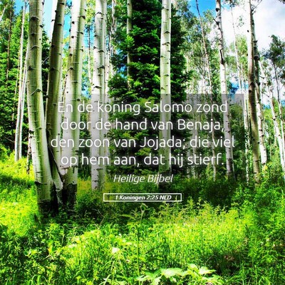 Picture 05 - 1 Koningen 2:25 NLD - En de koning Salomo zond door de hand van Benaja, - Bible Verse Picture