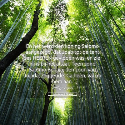 Picture 05 - 1 Koningen 2:29 NLD - En het werd den koning Salomo aangezegd, dat Joab - Bible Verse Picture