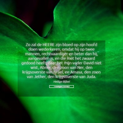 Picture 05 - 1 Koningen 2:32 NLD - Zo zal de HEERE zijn bloed op zijn hoofd doen - Bible Verse Picture