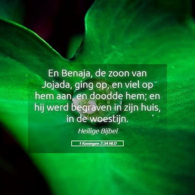 Picture 05 - 1 Koningen 2:34 NLD - En Benaja, de zoon van Jojada, ging op, en viel - Bible Verse Picture