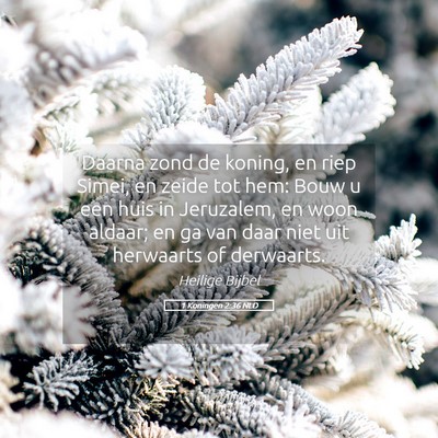 Picture 05 - 1 Koningen 2:36 NLD - Daarna zond de koning, en riep Simei, en zeide - Bible Verse Picture