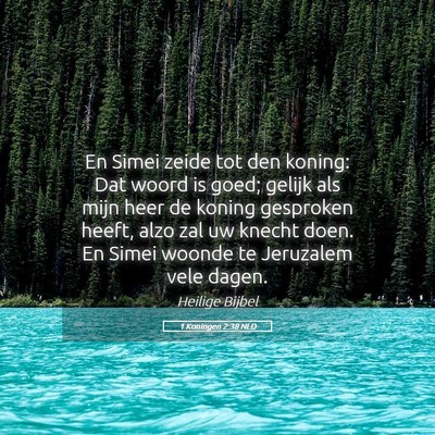 Picture 05 - 1 Koningen 2:38 NLD - En Simei zeide tot den koning: Dat woord is goed; - Bible Verse Picture