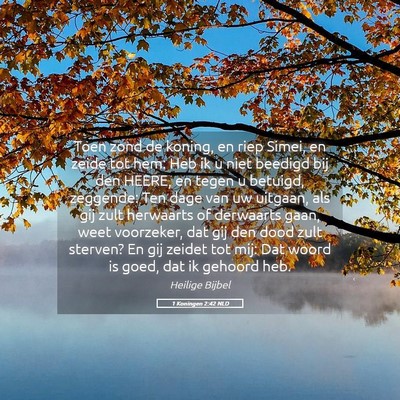 Picture 05 - 1 Koningen 2:42 NLD - Toen zond de koning, en riep Simei, en zeide tot - Bible Verse Picture