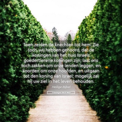 Picture 05 - 1 Koningen 20:31 NLD - Toen zeiden de knechten tot hem: Zie toch, wij - Bible Verse Picture