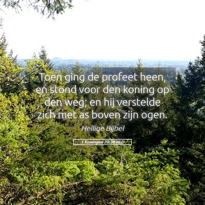 Picture 05 - 1 Koningen 20:38 NLD - Toen ging de profeet heen, en stond voor den - Bible Verse Picture