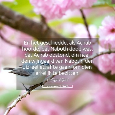 Picture 05 - 1 Koningen 21:16 NLD - En het geschiedde, als Achab hoorde, dat Naboth - Bible Verse Picture