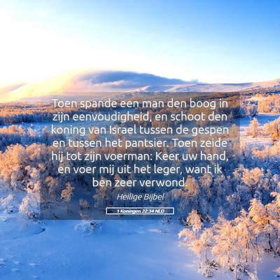 Picture 05 - 1 Koningen 22:34 NLD - Toen spande een man den boog in zijn - Bible Verse Picture