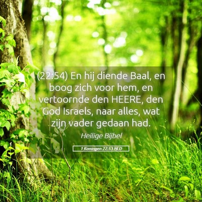 Picture 05 - 1 Koningen 22:53 NLD - (22:54) En hij diende Baal, en boog zich voor - Bible Verse Picture