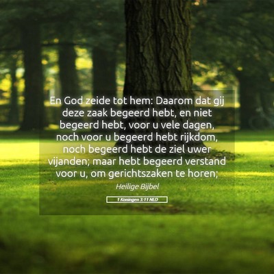 Picture 05 - 1 Koningen 3:11 NLD - En God zeide tot hem: Daarom dat gij deze zaak - Bible Verse Picture