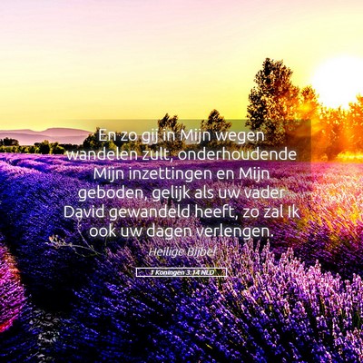 Picture 05 - 1 Koningen 3:14 NLD - En zo gij in Mijn wegen wandelen zult, - Bible Verse Picture
