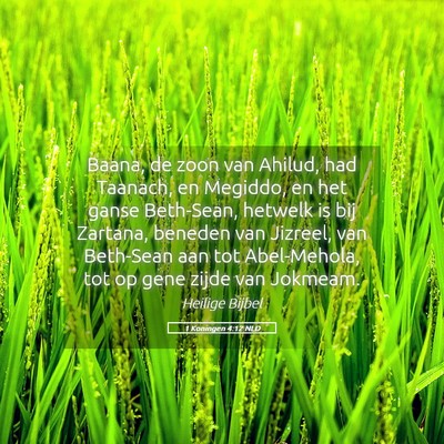 Picture 05 - 1 Koningen 4:12 NLD - Baana, de zoon van Ahilud, had Taanach, en - Bible Verse Picture