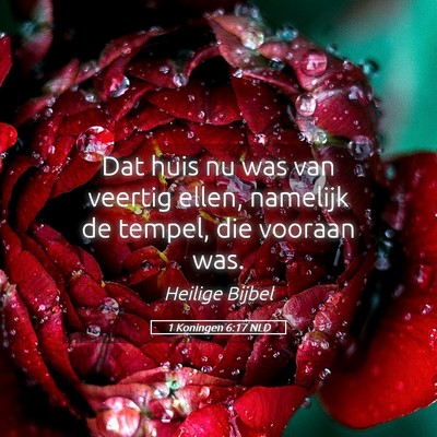 Picture 05 - 1 Koningen 6:17 NLD - Dat huis nu was van veertig ellen, namelijk de - Bible Verse Picture