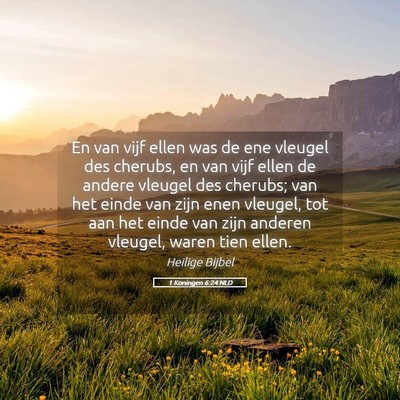 Picture 05 - 1 Koningen 6:24 NLD - En van vijf ellen was de ene vleugel des cherubs, - Bible Verse Picture