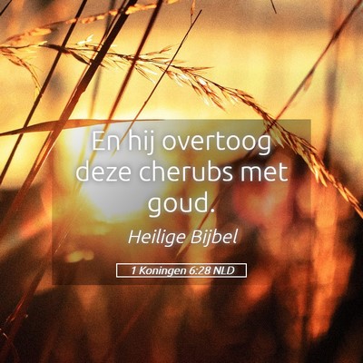 Picture 05 - 1 Koningen 6:28 NLD - En hij overtoog deze cherubs met - Bible Verse Picture