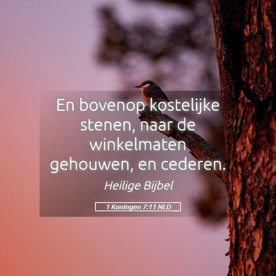 Picture 05 - 1 Koningen 7:11 NLD - En bovenop kostelijke stenen, naar de winkelmaten - Bible Verse Picture