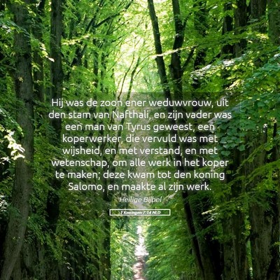 Picture 05 - 1 Koningen 7:14 NLD - Hij was de zoon ener weduwvrouw, uit den stam van - Bible Verse Picture