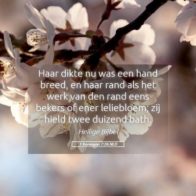 Picture 05 - 1 Koningen 7:26 NLD - Haar dikte nu was een hand breed, en haar rand - Bible Verse Picture