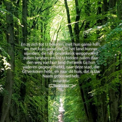 Picture 05 - 1 Koningen 8:48 NLD - En zij zich tot U bekeren, met hun ganse hart, en - Bible Verse Picture