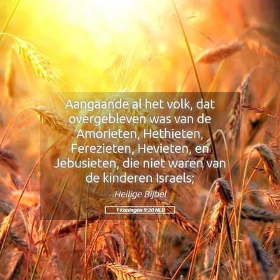 Picture 05 - 1 Koningen 9:20 NLD - Aangaande al het volk, dat overgebleven was van - Bible Verse Picture