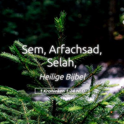 Picture 05 - 1 Kronieken 1:24 NLD - Sem, Arfachsad, - Bible Verse Picture