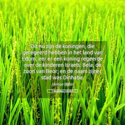 Picture 05 - 1 Kronieken 1:43 NLD - Dit nu zijn de koningen, die geregeerd hebben in - Bible Verse Picture