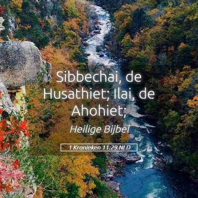 Picture 05 - 1 Kronieken 11:29 NLD - Sibbechai, de Husathiet; Ilai, de - Bible Verse Picture