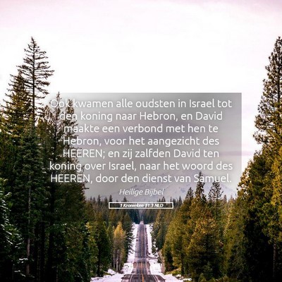 Picture 05 - 1 Kronieken 11:3 NLD - Ook kwamen alle oudsten in Israel tot den koning - Bible Verse Picture