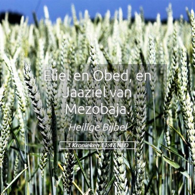 Picture 05 - 1 Kronieken 11:47 NLD - Eliel en Obed, en Jaaziel van - Bible Verse Picture